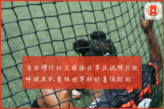 马尔穆什社交媒体分享庆祝照片欢呼埃及队晋级世界杯的喜悦时刻