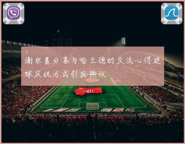 谢尔基分享与哈兰德的交流心得进球庆祝方式引发热议
